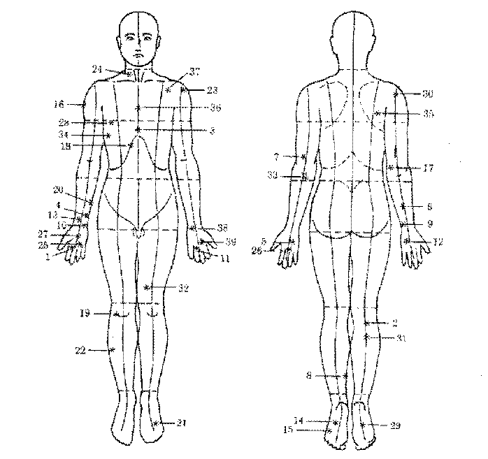 calligaris body points